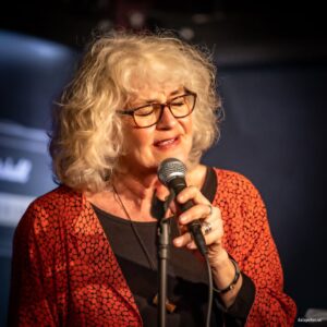 Musikkväll med Simon Stålspets och Ann-Kristin Hedmark lördag 1/7